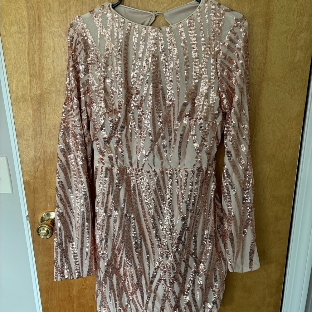 Sequin Zebra-Stripe Mini Dress - Rose Gold